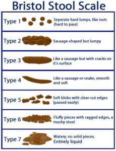 bristol-stool-scale